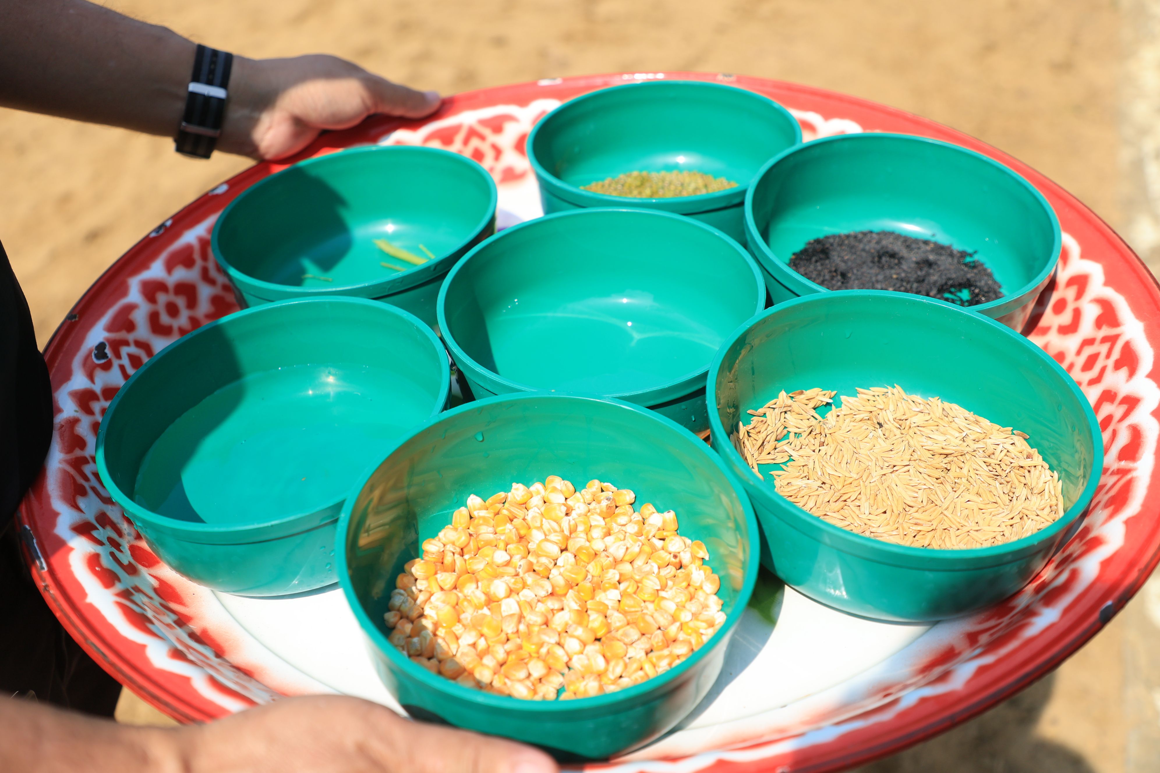 title - ส.ป.ก. เข้าร่วมการตรวจเยี่ยมการจัดเตรียมพระโค ในงานพระราชพิธีพืชมงคลจรดพระนังคัลแรกนาขวัญ ประจำปี 2569